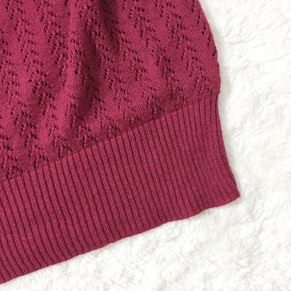 Metaphor | Maroon bat wings v neck crop sweater - Picture 7 of 11